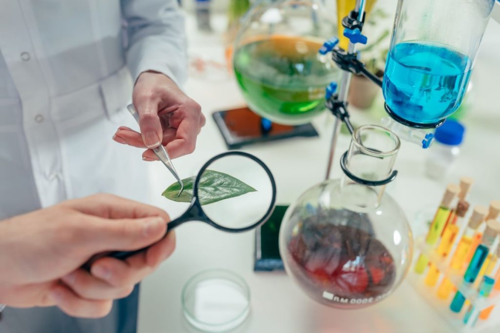 Biology Lab Practicals and Experiments