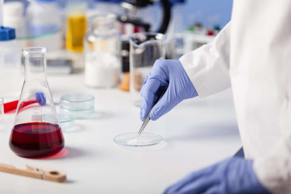 biomedical engineering image 3 - College Insider