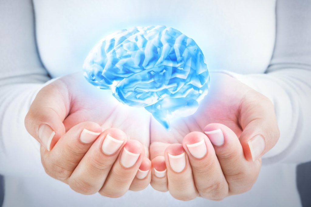 Psychology and Humain Brain Function