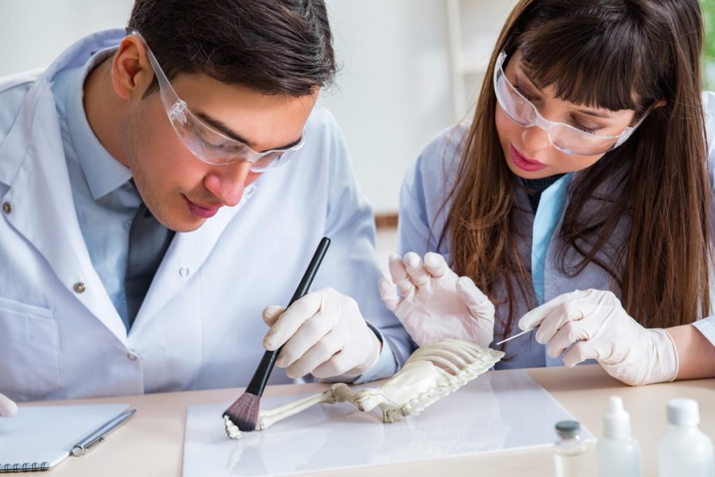 Anthropology and Archeology Degrees